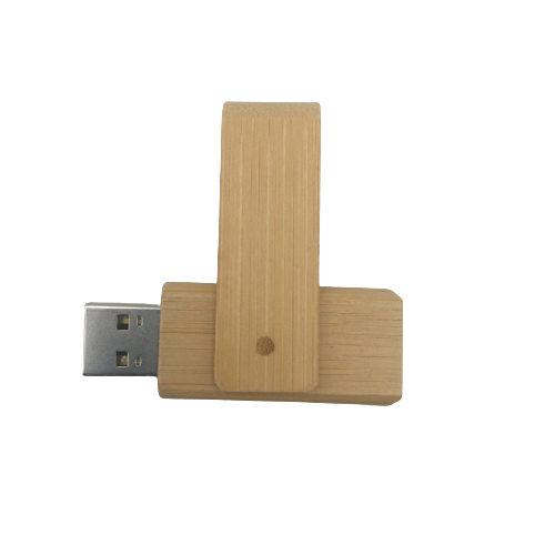 Pendrive Bud